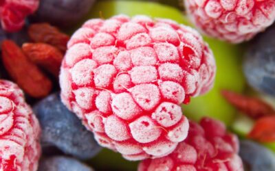 Zumit: Distribuidor Online de Fruta Congelada para Smoothies